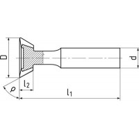 Дисковая фреза угловая 60°?40.0x16.0x 80.0x16.0 z=12 HSSCo5 330205.060400 DIN1833A ZPS