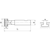 Дискова фреза 21.0x 9.0x74.0x12.0 z=6 HSSCo5 DIN851 310215.210 ZPS